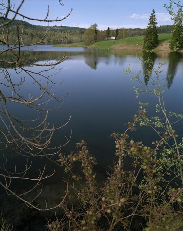 Ovre Sem Gard Hotel Asker Bagian luar foto